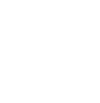 Training Optimization